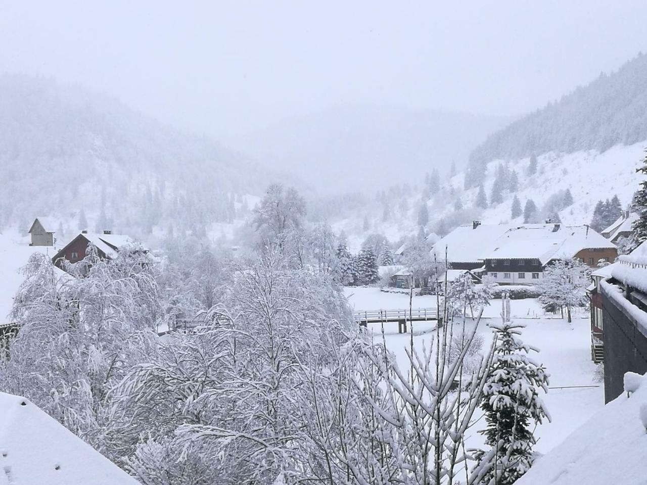 C2 Albmatte-Fewo , Hallenbad Aussenbecken Massagen Nebenan St. Blasien Exterior foto