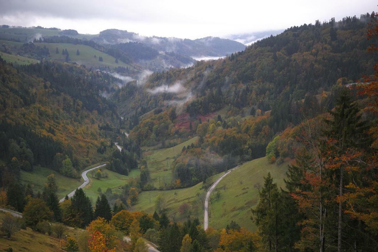 C2 Albmatte-Fewo , Hallenbad Aussenbecken Massagen Nebenan St. Blasien Exterior foto